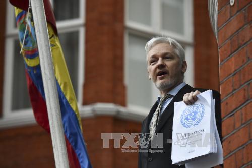 Phản ứng của nhà sáng lập Wikileaks sau khi Thụy Điển chấm dứt cuộc điều tra 